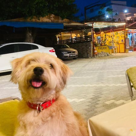 Hotel Doenmez Dalyan Bagian luar foto