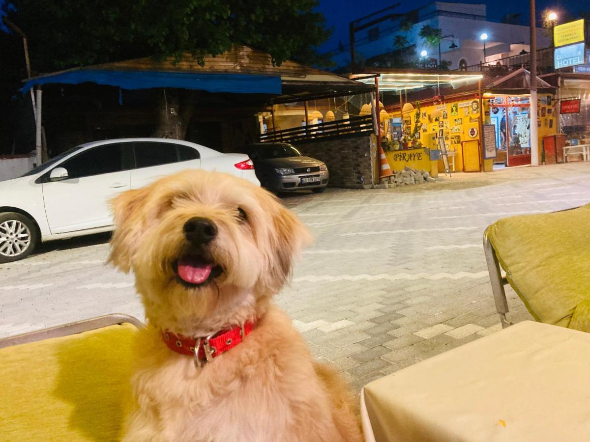 Hotel Doenmez Dalyan Bagian luar foto
